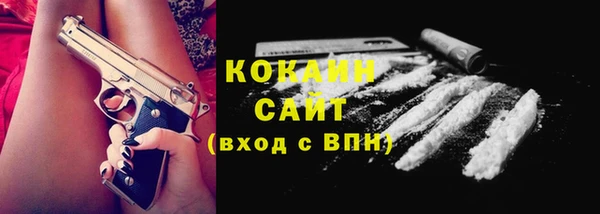 прущий лед Кропоткин