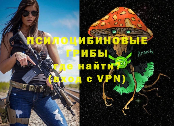 ALPHA PVP Остров