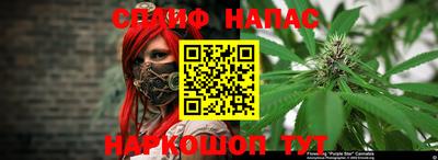 прущие грибы Комсомольск-на-Амуре