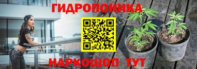 прущие грибы Комсомольск-на-Амуре