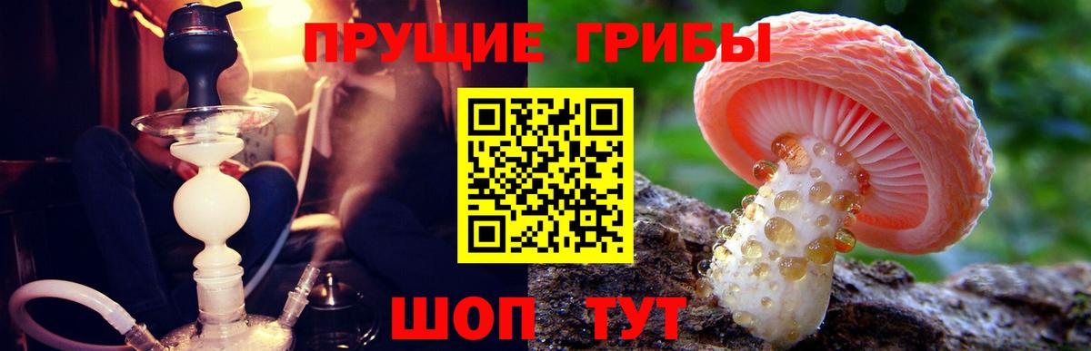 Галлюциногенные грибы MAGIC MUSHROOMS  Вход с VPN  цены наркотик  Галлюциногенные грибы Cubensis  Протвино 